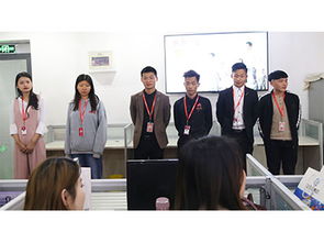 企業(yè)數(shù)字化突圍 山東鼎基信息技術打造臨沂網(wǎng)站建設與推廣新標桿